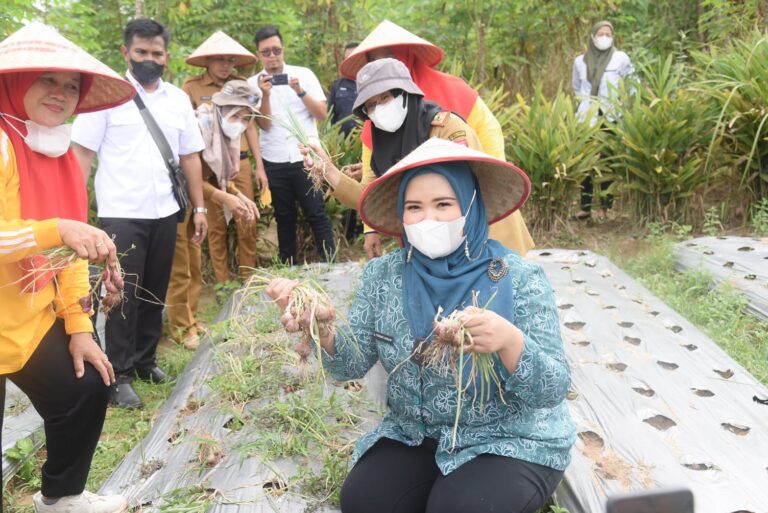 68751078-1BC0-4468-A1F6-2DC1EE62A41A