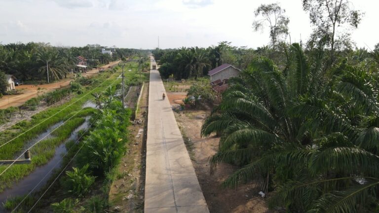 C647F509-7528-414D-A35C-B4D052DDBA2C