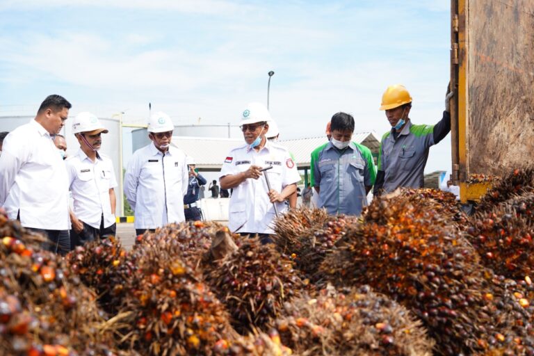 149940F7-C707-4429-8DBA-EB81D7407801