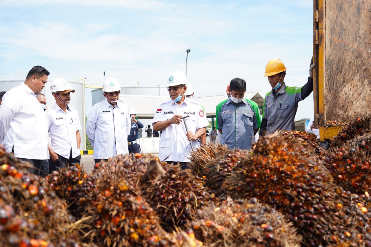 149940F7-C707-4429-8DBA-EB81D7407801