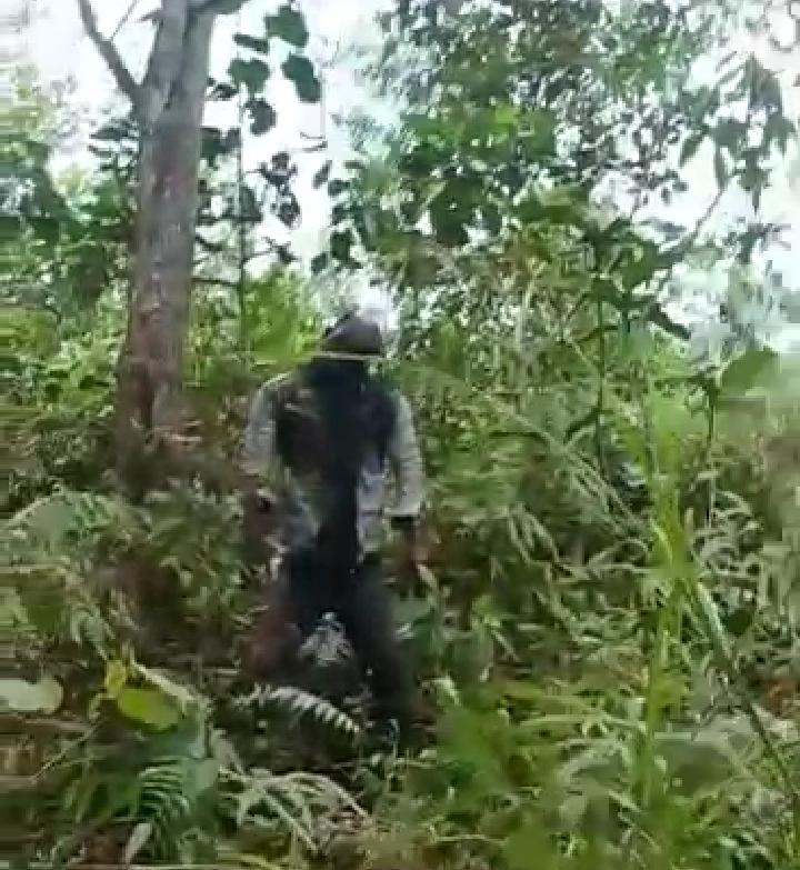 3CFCCB6B-7E53-4B1B-B709-6785BA0789A2