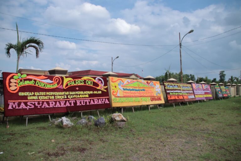 IMG-20230217-WA0181