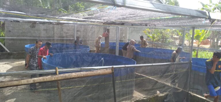 IMG-20230225-WA0013