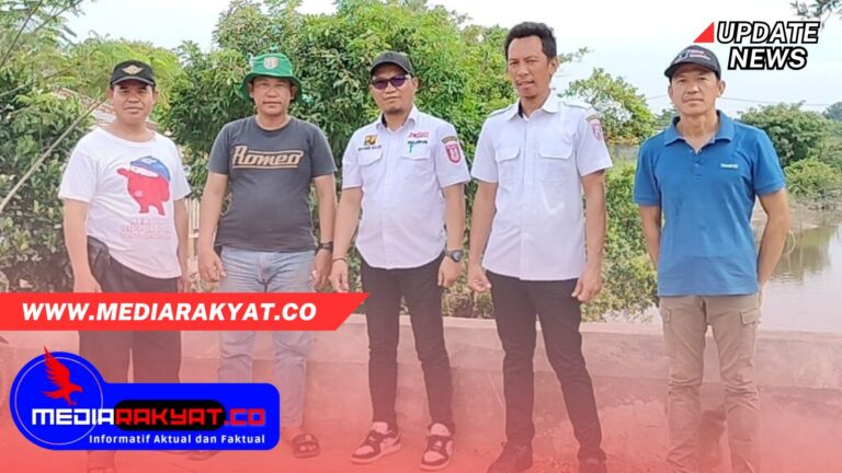 jpg_20240208_140421_0000