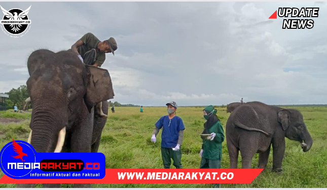 Screenshot_2024-05-08-16-20-11-38