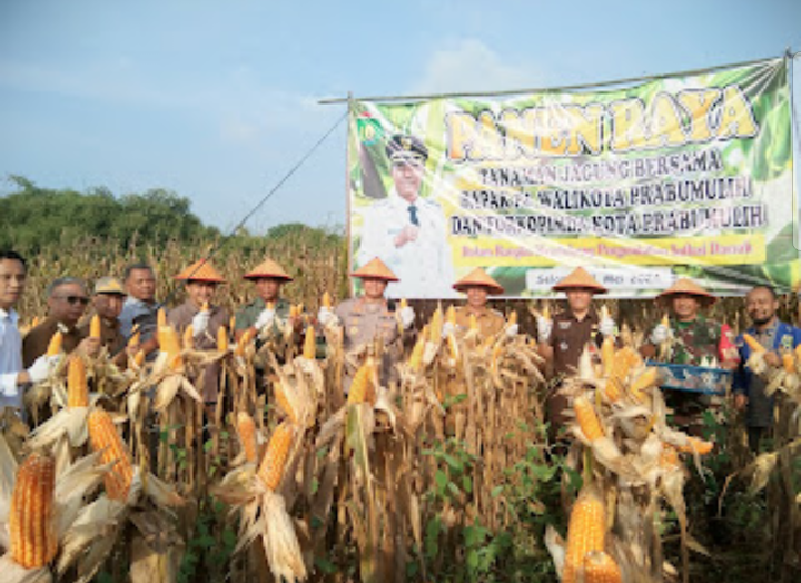 Screenshot_2024-05-21-18-20-09-35