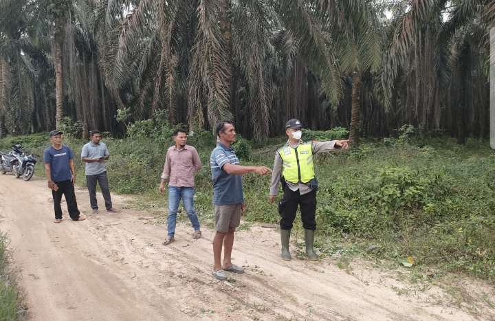 Screenshot_2024-06-10-17-59-21-40