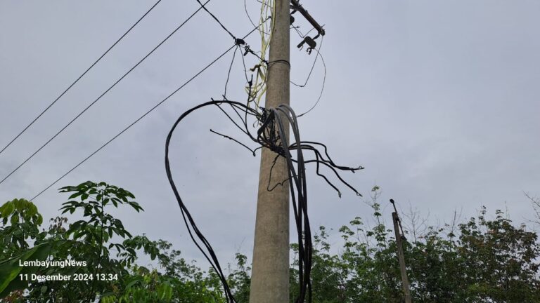 IMG-20241211-WA0088