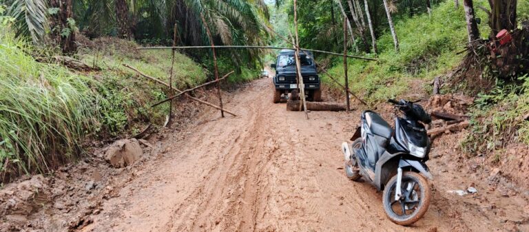 IMG-20250222-WA0043