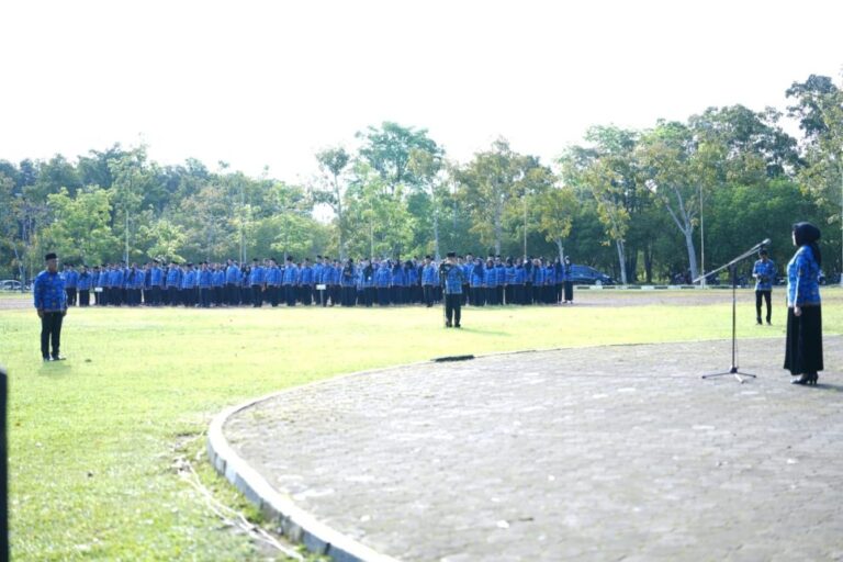 IMG-20260518-WA0012-990x660
